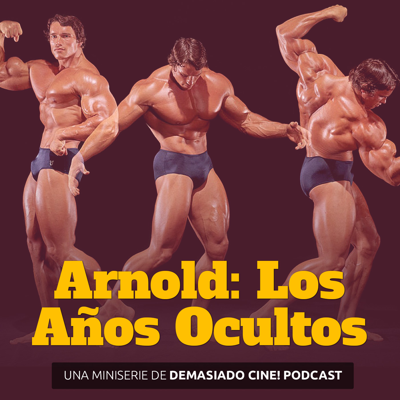 Arnold: Los años ocultos
