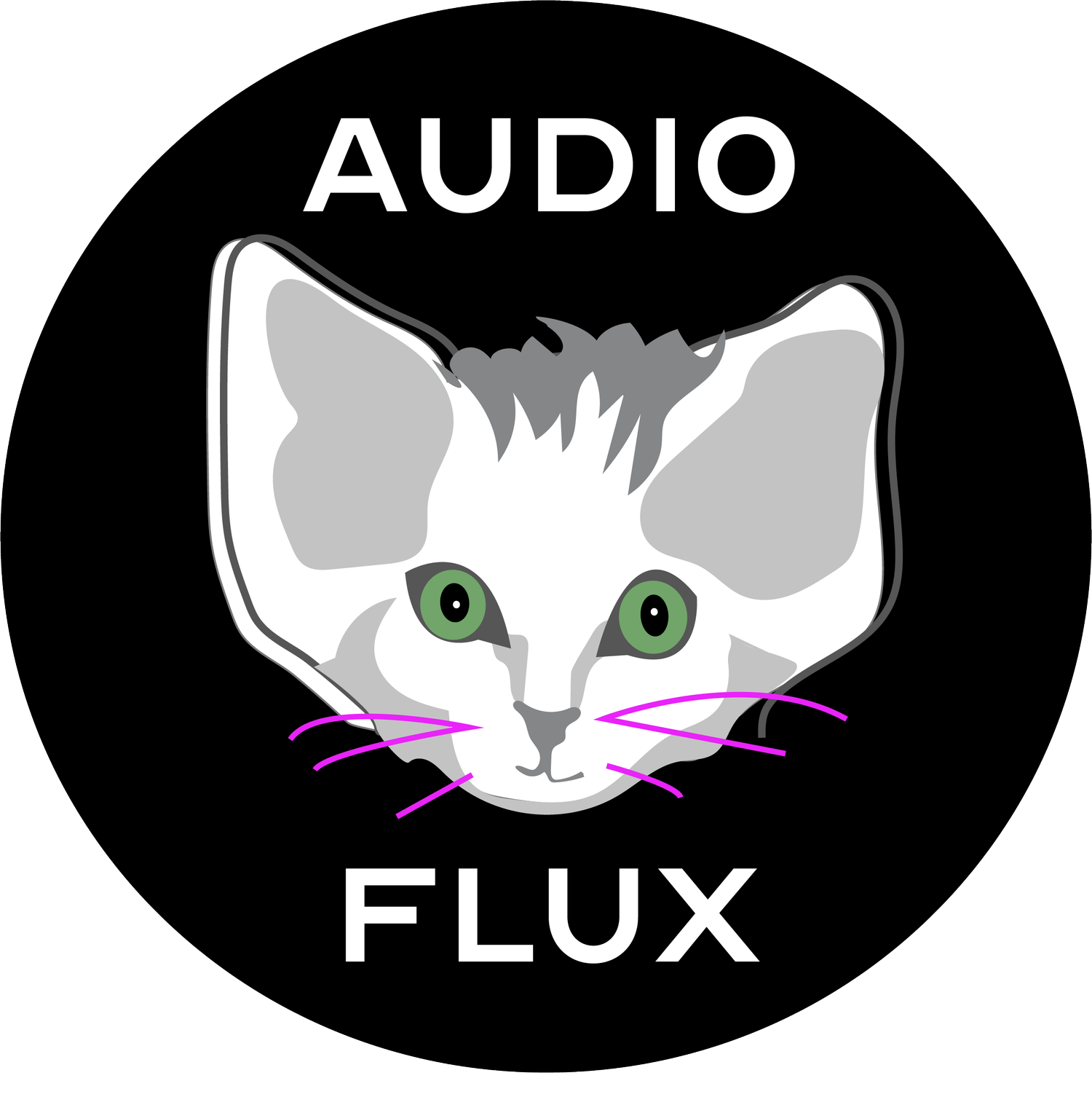 Ladrida Verdad / Audio Flux Circuit 3